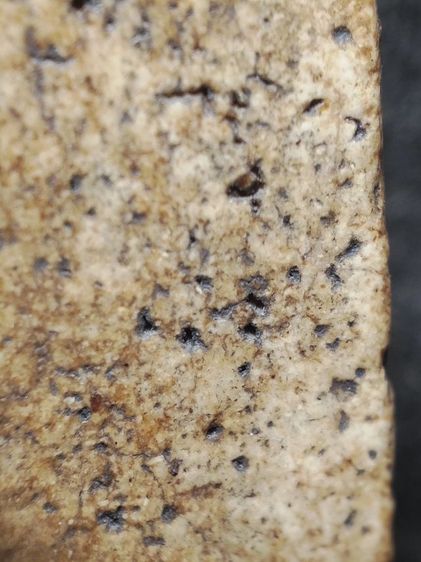 พระสมเด็จเนื้องามๆครับ รูปที่ 9