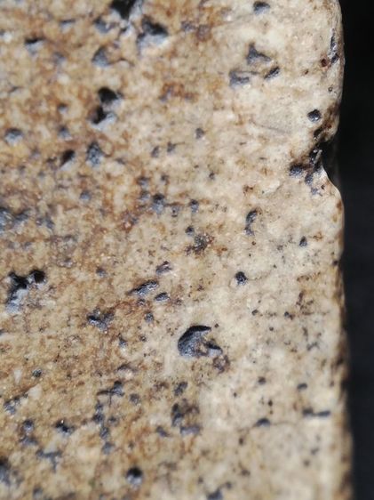 พระสมเด็จเนื้องามๆครับ รูปที่ 8