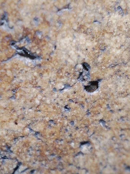 พระสมเด็จเนื้องามๆครับ รูปที่ 10