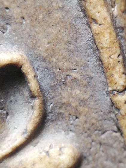 พระสมเด็จเนื้องามๆครับ รูปที่ 7