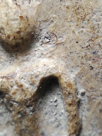 พระสมเด็จสวยเก็บเดิมครับ รูปที่ 5