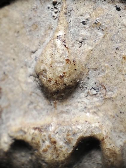 พระสมเด็จสวยเก็บเดิมครับ รูปที่ 11