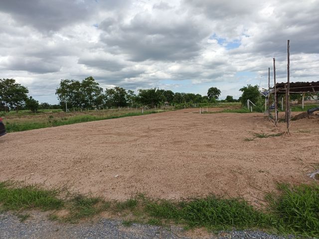 ไม่ใช่ ขายด่วน ที่ดินเปล่าสุพรรณบุรี รูปที่ 2