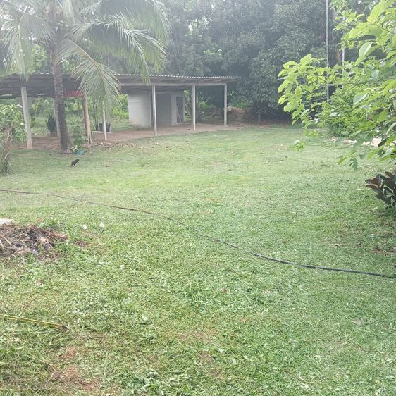 ที่ดิน รูปที่ 3