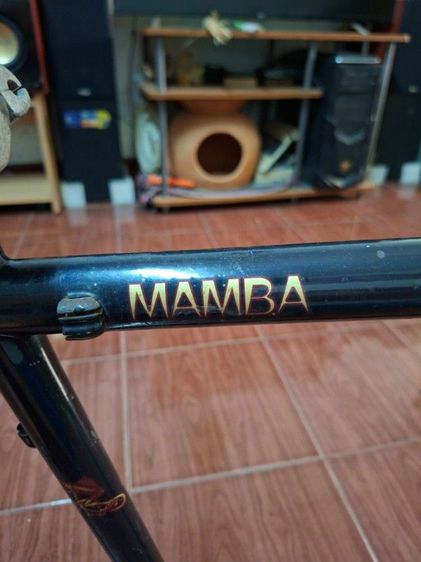 เฟรมจักรยาน Gary Fisher รุ่น Mamba รูปที่ 4