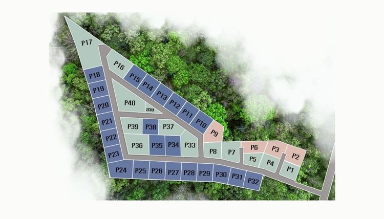 ปัญญ์ฐิตา รูปที่ 4