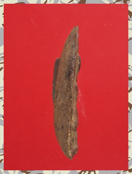 r238-r239.พระสมเด็จ-พระปิดตา องค์ๆละ 419 บ. พร้อมส่ง EMS ค่ะ รูปที่ 10