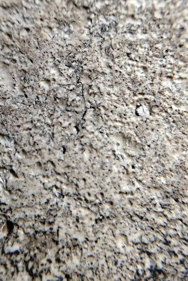 พระสมเด็จ วัดระฆัง บางขุนพรหม วัดเกศไชโย หลวงปู่ภู หลวงปู่นาค รูปที่ 5