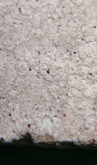 พระสมเด็จ วัดระฆัง บางขุนพรหม วัดเกศไชโย หลวงปู่ภู หลวงปู่นาค รูปที่ 10