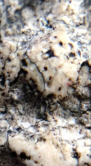 พระสมเด็จ วัดระฆัง บางขุนพรหม วัดเกศไชโย หลวงปู่ภู หลวงปู่นาค