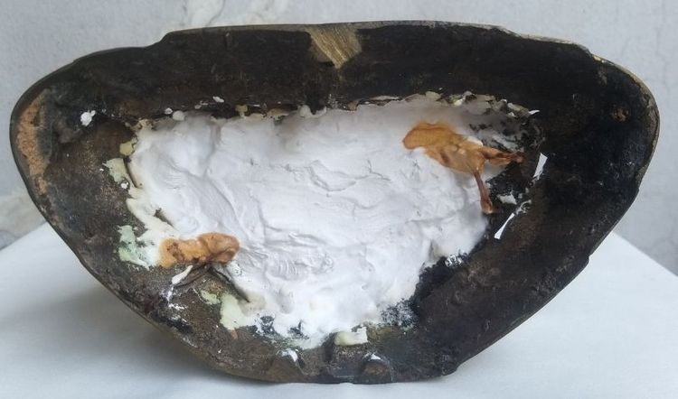 พระพุทธชินราช หน้าตัก 4 นิ้ว หล่อดินดำ รูปที่ 3