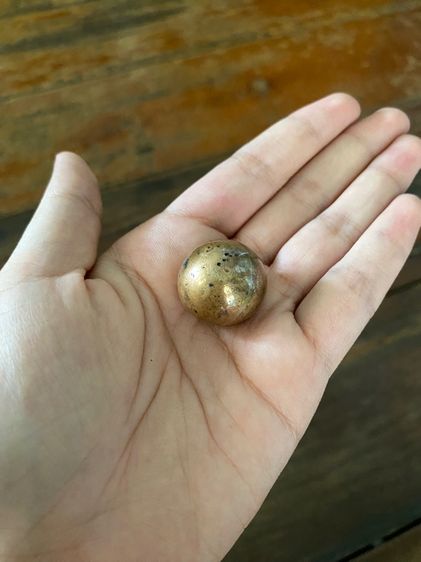 ปรอทกอ รูปที่ 2