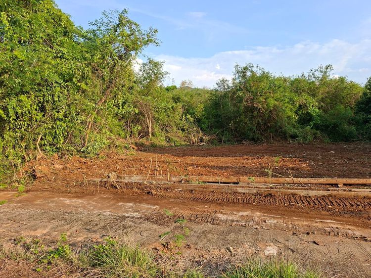 ขายที่ดิน อ.เมือง จ.ลำปาง ถูกๆๆ รูปที่ 3