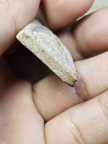 พระสมเด็จ รูปที่ 5