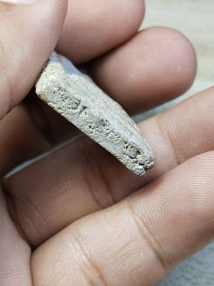 พระสมเด็จ รูปที่ 5