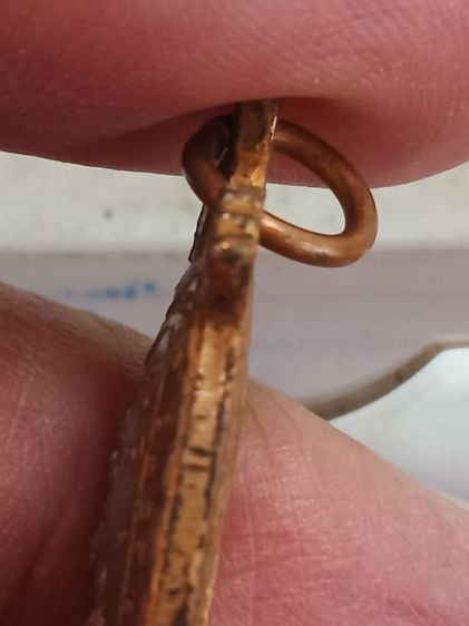 เต่า ลป.หลิว รูปที่ 6