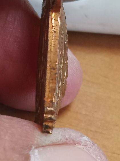 เต่า ลป.หลิว รูปที่ 8