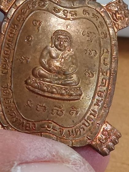 เต่า ลป.หลิว รูปที่ 10