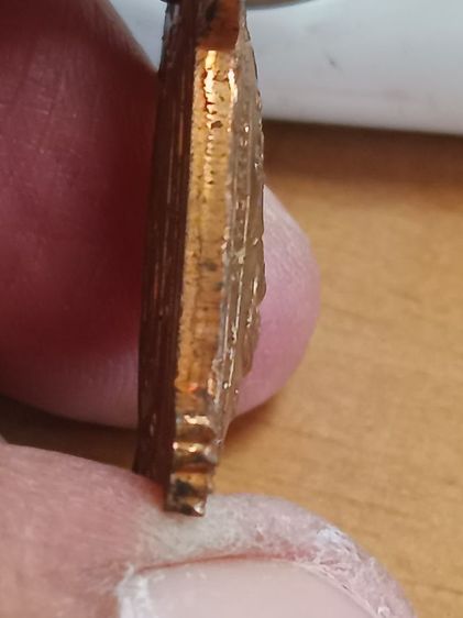 เต่า ลป.หลิว รูปที่ 7