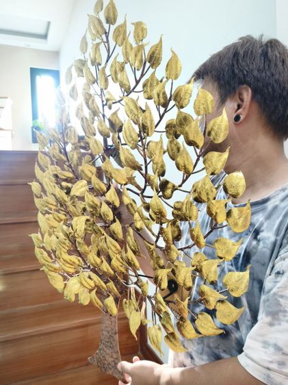  ต้นโพธิ์ทอง ทรัพย์เศรษฐี รูปที่ 3