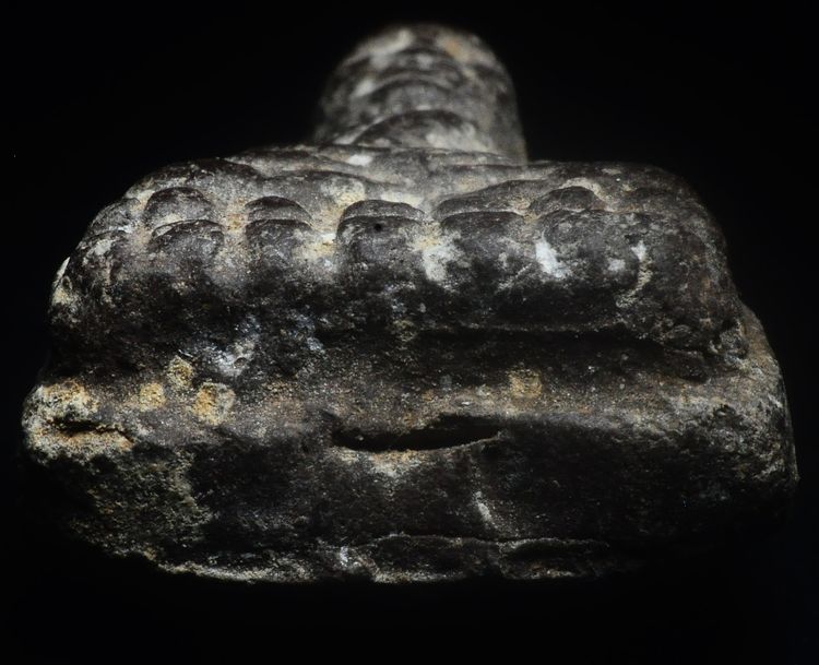 หลวงพ่อทวด เนื้อว่าน 2497 ผิวแห้งๆ สภาพสวย แบ่งบูชา 800ครับ รูปที่ 5