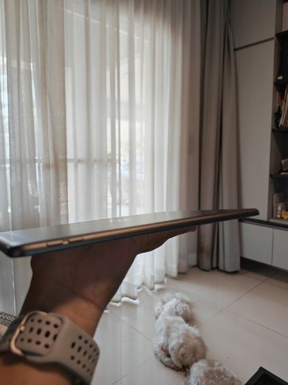 ipad gen 9 256 gb cellular  รูปที่ 10