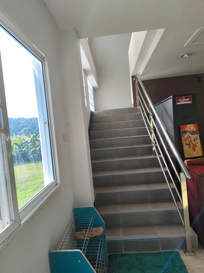 2016 ขายหอพัก รูปที่ 4