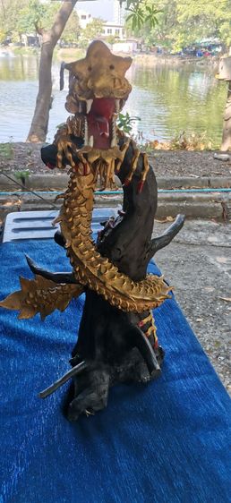 มังกรไม้ รูปที่ 3