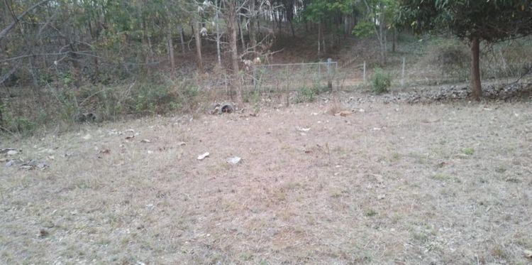 ไม่ใช่ ทีดินบ้าน4. 5 รูปที่ 3