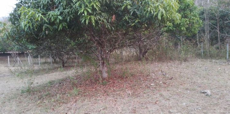 ไม่ใช่ ทีดินบ้าน4. 5