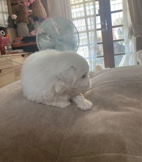 ปักกิ่ง รูปที่ 2