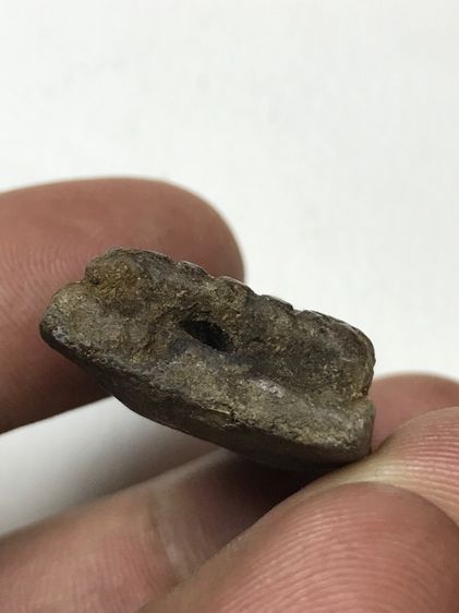 หลวงปู่ทวดเนื้อว่านปี97สวยมีสองพิมพ์ รูปที่ 3