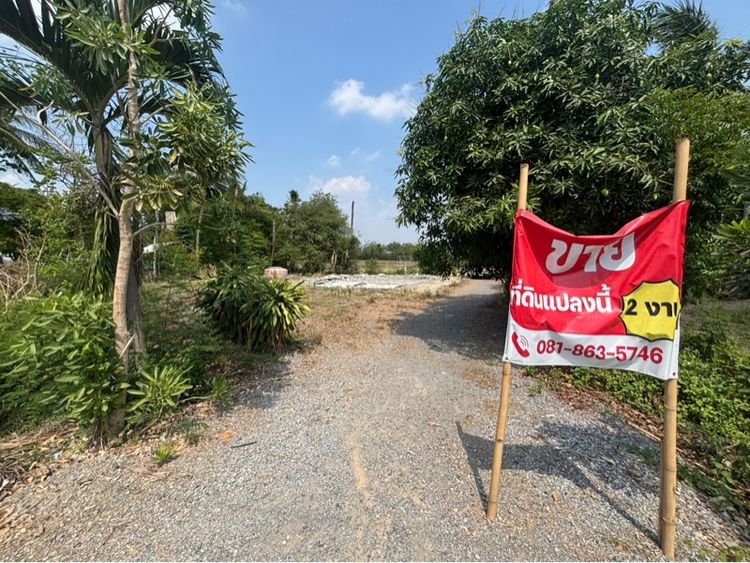 ไม่ใช่ ที่ดิน 2 งานติดถนน รูปที่ 3