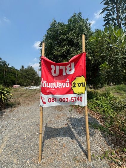ไม่ใช่ ที่ดิน 2 งานติดถนน รูปที่ 4