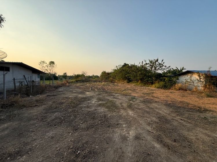 ใช่ ขายที่ดินถูก ถมแล้ว 1 ไร่ 50 ตรว . ต. เขาหินซ้อน  พนมสารคาม จ.ฉะเชิงเทรา  รูปที่ 3