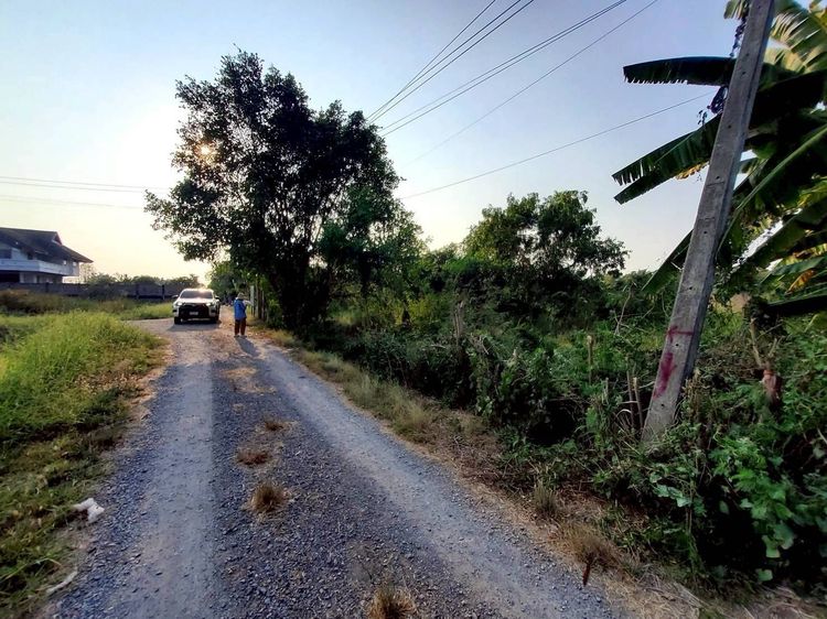 ขายด่วนที่ดิน 99 ตรว ติดถนนสาธารณะ ซอย คลองหก ตต.13 ต.คลองหก ปทุมธานี 