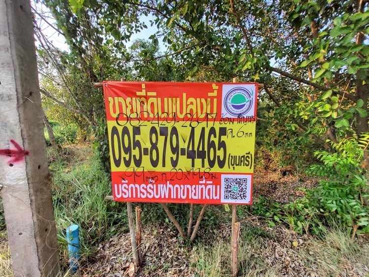 ขายด่วนที่ดิน 99 ตรว ติดถนนสาธารณะ ซอย คลองหก ตต.13 ต.คลองหก ปทุมธานี รูปที่ 3