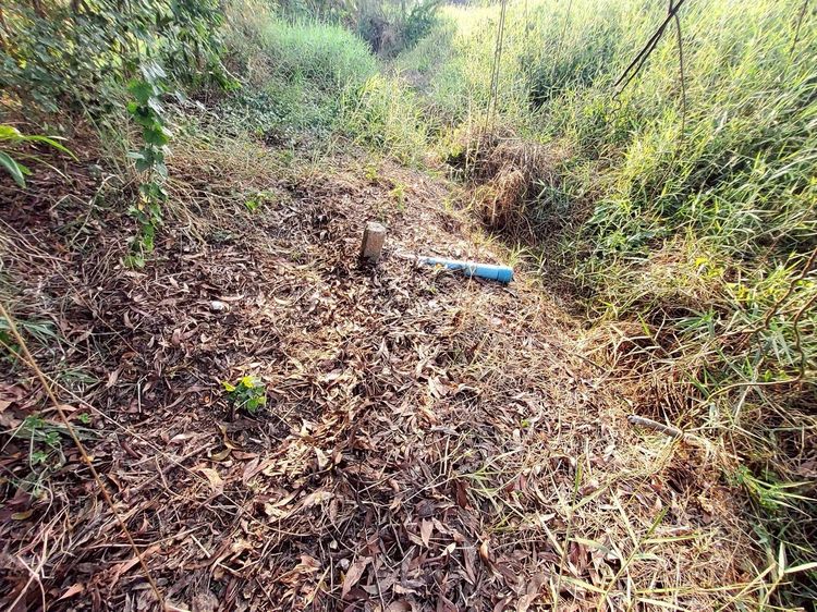 ขายด่วนที่ดิน 99 ตรว ติดถนนสาธารณะ ซอย คลองหก ตต.13 ต.คลองหก ปทุมธานี รูปที่ 2