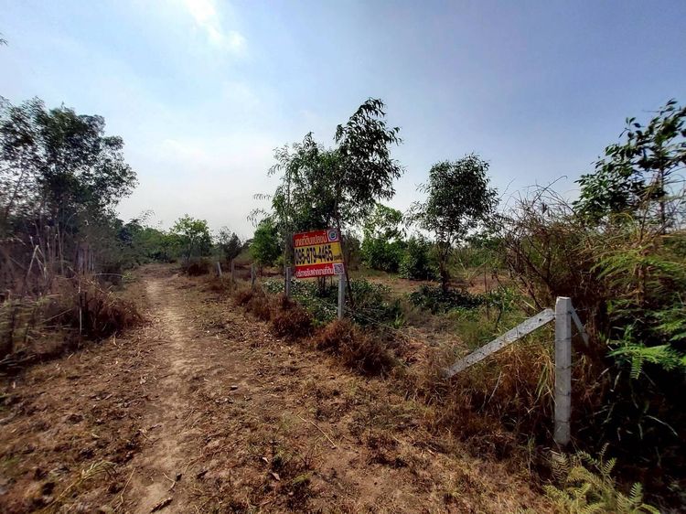 ขายถูกที่ดิน 400 ตรว ติดถนนสาธารณะ  ใกล้ซอยอยู่รวยแลนด์ หนองสามวัง หนองเสือ รูปที่ 2