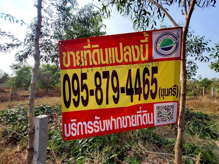 ขายถูกที่ดิน 400 ตรว ติดถนนสาธารณะ  ใกล้ซอยอยู่รวยแลนด์ หนองสามวัง หนองเสือ