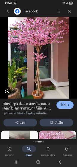 ดอกไม้ปลอม ดอกเดซี่ พร้อมพื้นหญ้า ดอกซากุระ ต้นซากุระ ตกแต่งผนัง ฝ้า สวน อื่นๆ (รับบริการติดตั้งด้วยนะครับ) รูปที่ 10