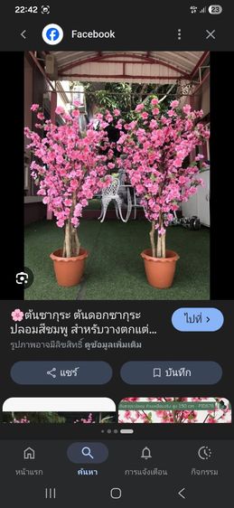 ดอกไม้ปลอม ดอกเดซี่ พร้อมพื้นหญ้า ดอกซากุระ ต้นซากุระ ตกแต่งผนัง ฝ้า สวน อื่นๆ (รับบริการติดตั้งด้วยนะครับ) รูปที่ 11