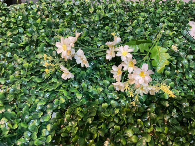 ดอกไม้ปลอม ดอกเดซี่ พร้อมพื้นหญ้า ดอกซากุระ ต้นซากุระ ตกแต่งผนัง ฝ้า สวน อื่นๆ (รับบริการติดตั้งด้วยนะครับ) รูปที่ 3