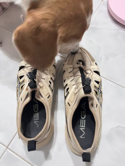 รองเท้า ASICS Gel-Sonoma SE