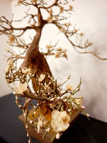 บอนไซดอกไม้ประดิษฐ์ งานแฮนด์เมดที่รังสรรค์ขึ้นอย่างประณีตเพื่อให้ มีความสวยงามและสมจริงในทุกมิติครับ ตัวต้น โดดเด่นด้วยลำต้นที่สมจริงงานสวย รูปที่ 8