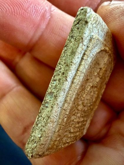 พระเก่าๆเหมาๆบ้านๆ พระคนแก่เก่าๆเก็บ ทิ้งใว้ก่อนจากไป 081-3330446 L.tonyabu รูปที่ 10