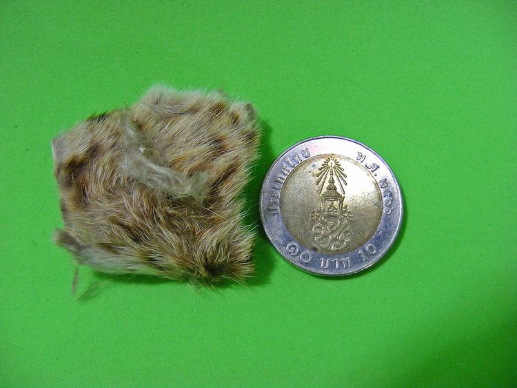 หายาก พุทธคุณมหาอำนาจ มหาบารมี เข้มขลัง รูปที่ 12