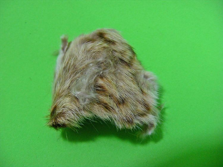 หายาก พุทธคุณมหาอำนาจ มหาบารมี เข้มขลัง รูปที่ 10