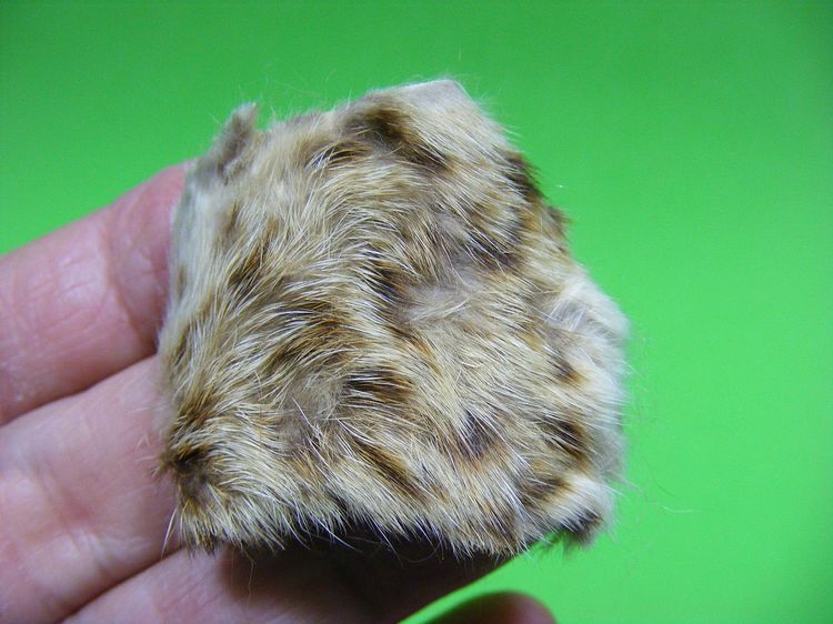 หายาก พุทธคุณมหาอำนาจ มหาบารมี เข้มขลัง