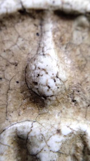 พระสมเด็จ วัดระฆัง บางขุนพรหม วัดเกศไชโย หลวงปู่ภู หลวงปู่นาค รูปที่ 12